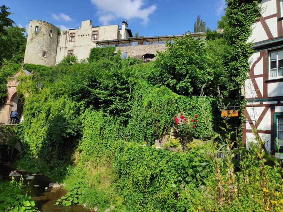 Das Hideaway Zum Seele Baumeln Lassen ! Bad Muenstereifel Exterior photo